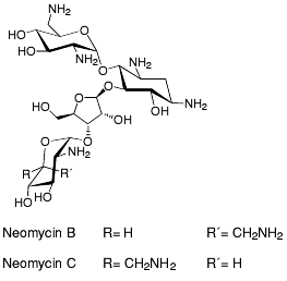 Bild på kemisk struktur för Neomycin