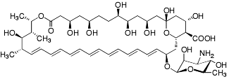 Bild på kemisk struktur för Amfotericin B