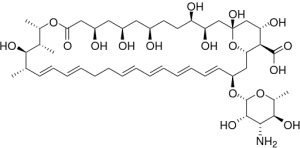Bild på kemisk struktur för Nystatin