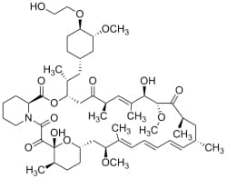 Bild på kemisk struktur för Everolimus