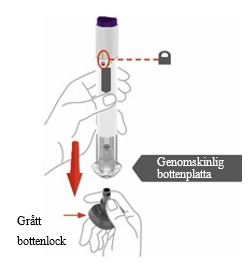 Bottenlock och bottenplatta