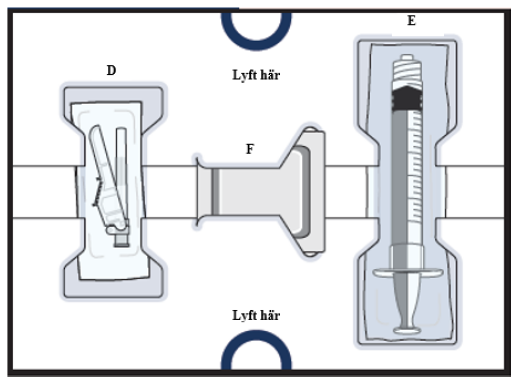 B5