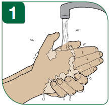 1 - Tvätta händerna noggrant med tvål och vatten innan du börjar.