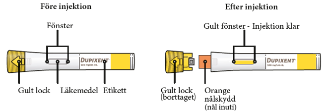 Delarna av den förfyllda Dupixent-injektionspennan visas i denna bild