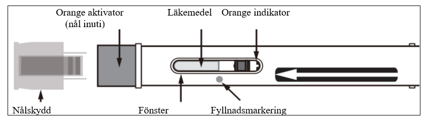 Bild på pennan